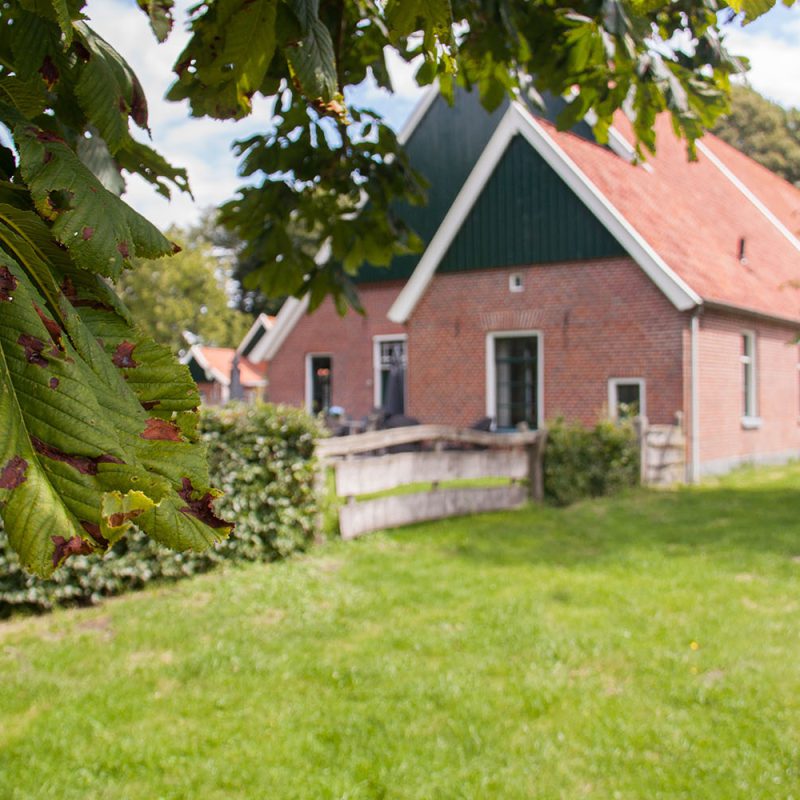 Vakantieboerderij Twente-139
